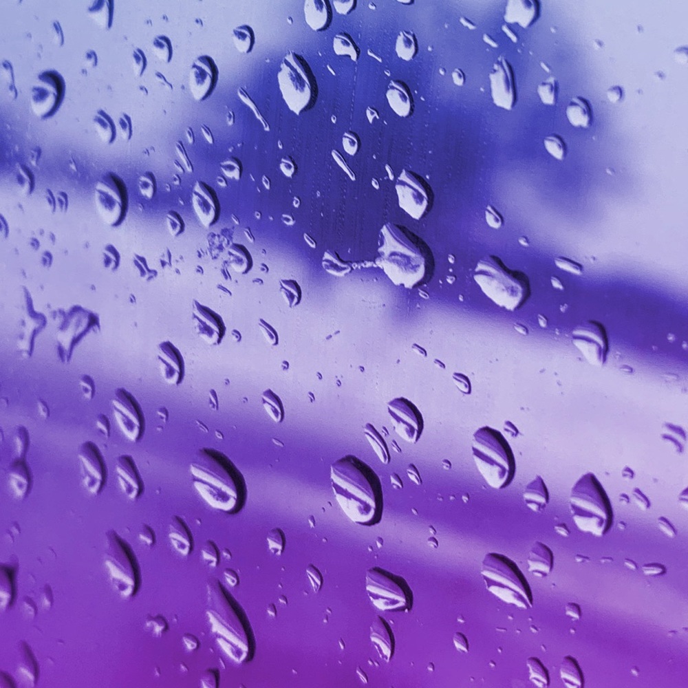 Meet your Posher, Whitney